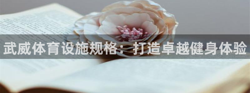 意昂体育3平台是正规平台吗知乎：武威体育设施规格：打