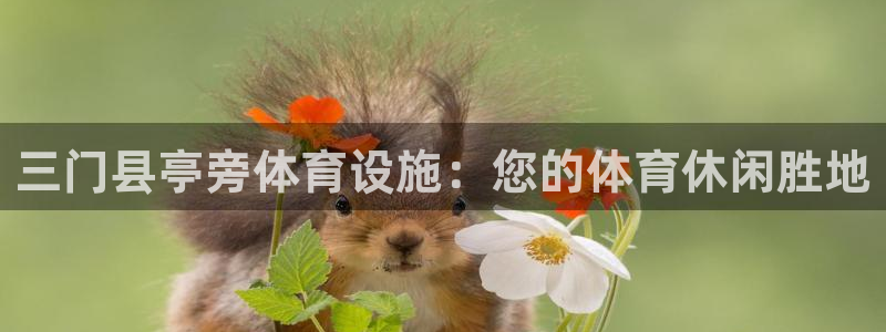意昂体育3招商电话号码：三门县亭旁体育设施：您的体育