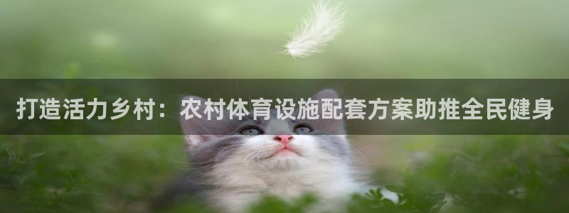 意昂体育3平台注册要钱吗是真的吗：打造活力乡村：农村