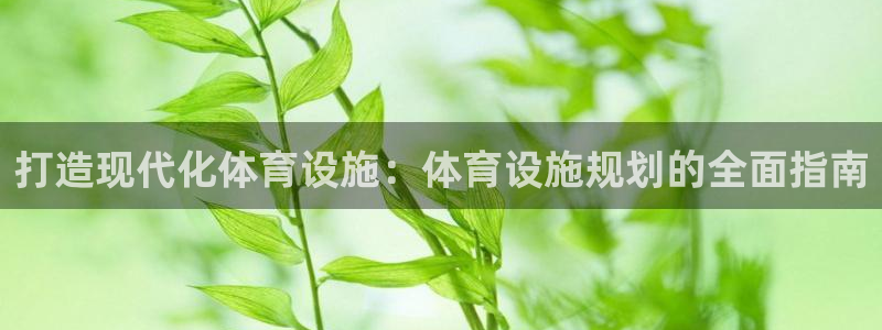 意昂平台体育：打造现代化体育设施：体育设施规划的全面