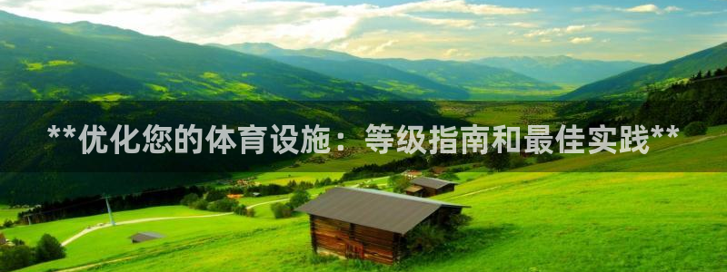 意昂体育3平台APP：**优化您的体育设施：等级指南