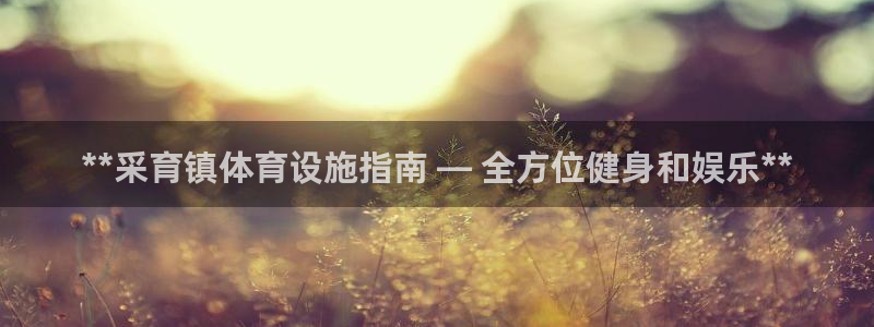 意昂体育3软件：**采育镇体育设施指南 — 全方位健