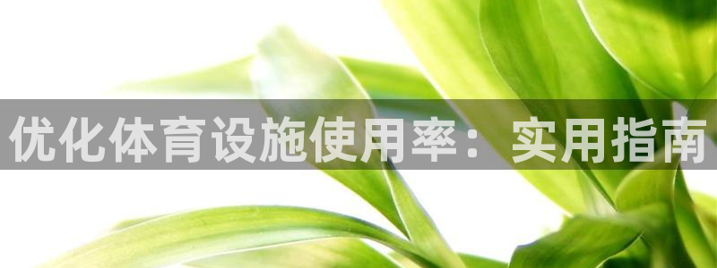 意昂体育3招商电话号码是多少号：优化体育设施使用率：