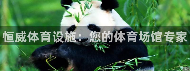 意昂体育3招商电话地址查询：恒威体育设施：您的体育场