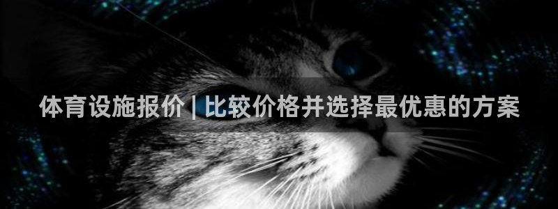 意昂3开户：体育设施报价 | 比较价格并选择最优惠的