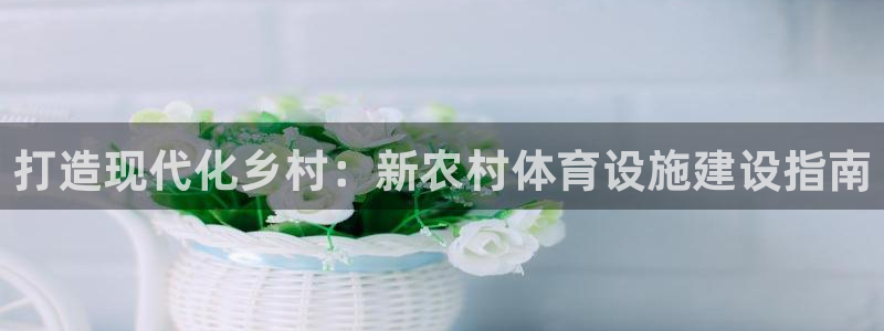意昂3集团logo：打造现代化乡村：新农村体育设施建