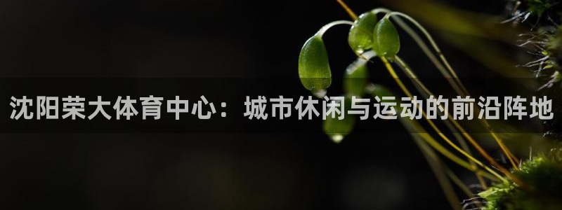 意昂体育3招商电话是多少