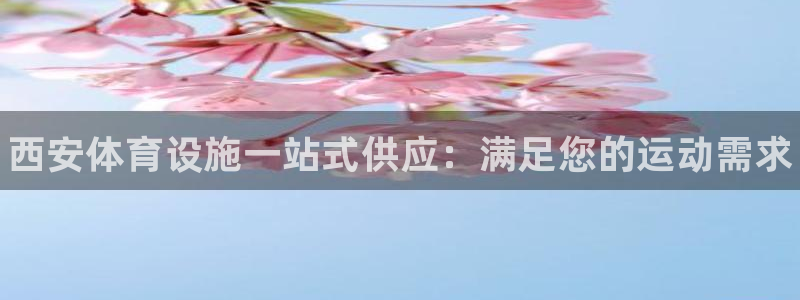 意昂体育3招商电话地址是多少：西安体育设施一站式供应：满足您