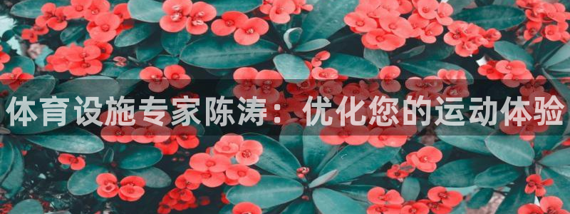 意昂3娱乐首页网站大全：体育设施专家陈涛：优化您的运动体验 