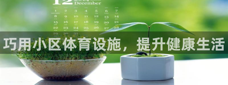 意昂体育3招商电话号码：巧用小区体育设施，提升健康生活
