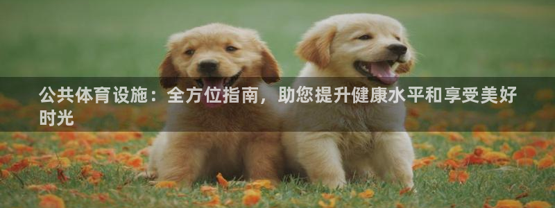 意昂体育3平台注册流程视频：公共体育设施：全方位指南