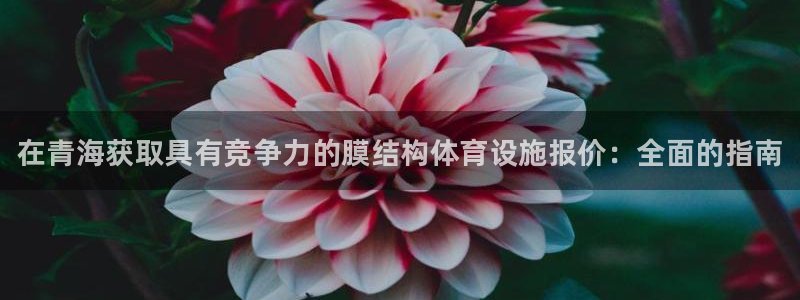 意昂集团官网：在青海获取具有竞争力的膜结构体育设施报