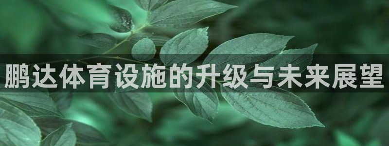 意昂3五金厂：鹏达体育设施的升级与未来展望