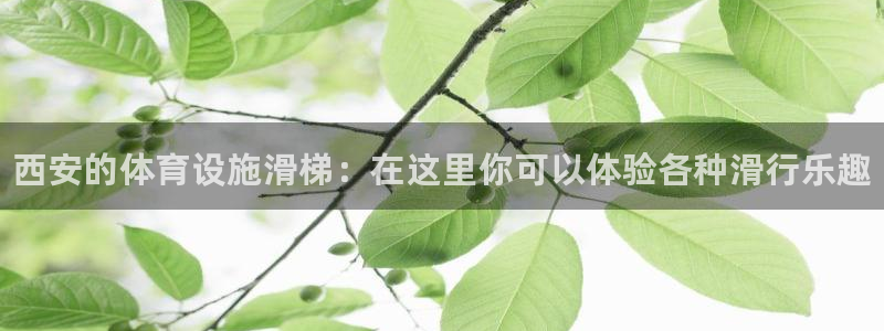 意昂体育3平台注册要钱吗是真的吗：西安的体育设施滑梯