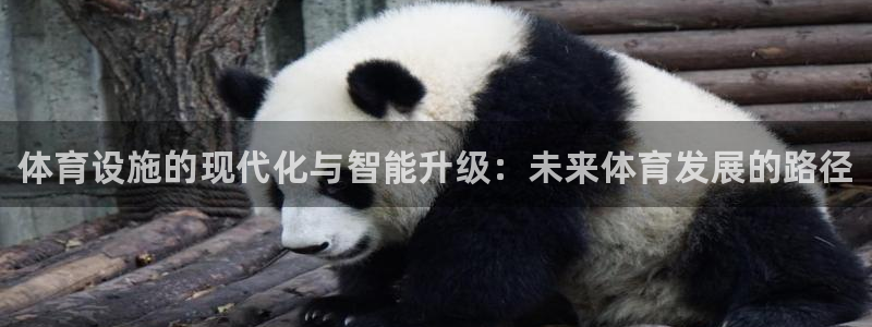 意昂体育3娱乐：体育设施的现代化与智能升级：未来体育