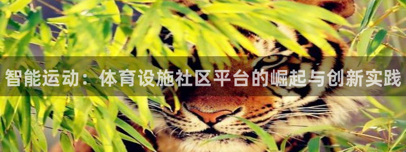 意昂3官网：智能运动：体育设施社区平台的崛起与创新实
