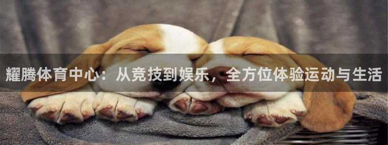 意昂体育3招商电话是多少啊：耀腾体育中心：从竞技到娱