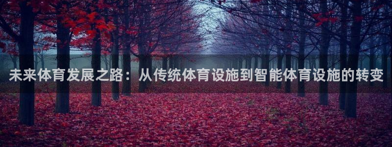 意昂体育3平台注册流程图：未来体育发展之路：从传统体育设施到