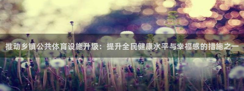 注册意昂3：推动乡镇公共体育设施升级：提升全民健康水平与幸福 