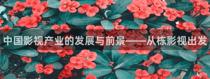 大香蕉依依影院