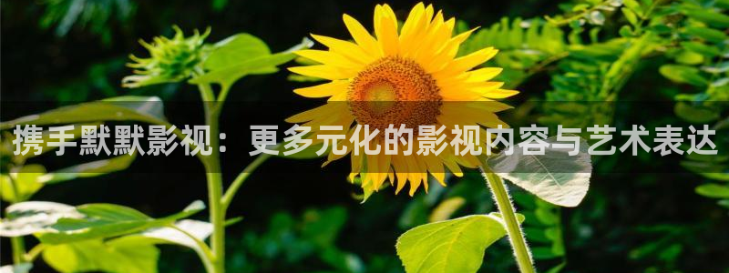 亚洲依依成人影院精品