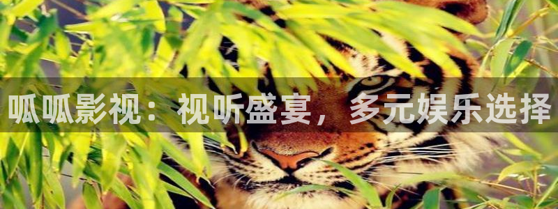 午夜依依成人影院